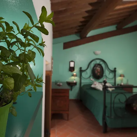Antico Granaione Bed and Breakfast Rapolano Terme