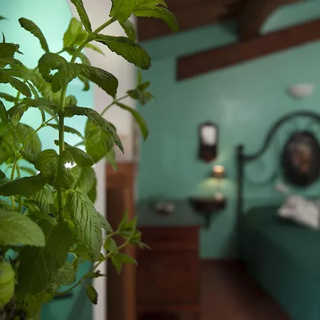 Bed and Breakfast Antico Granaione 4*